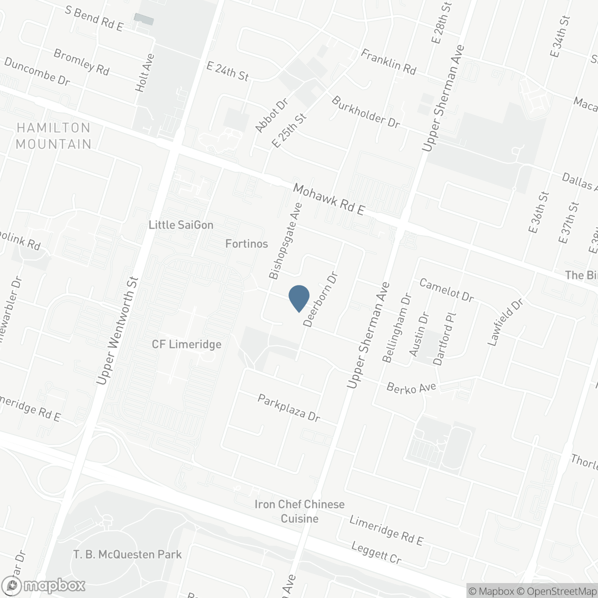 241 THORNER Drive, Hamilton, Ontario L8V 2M6